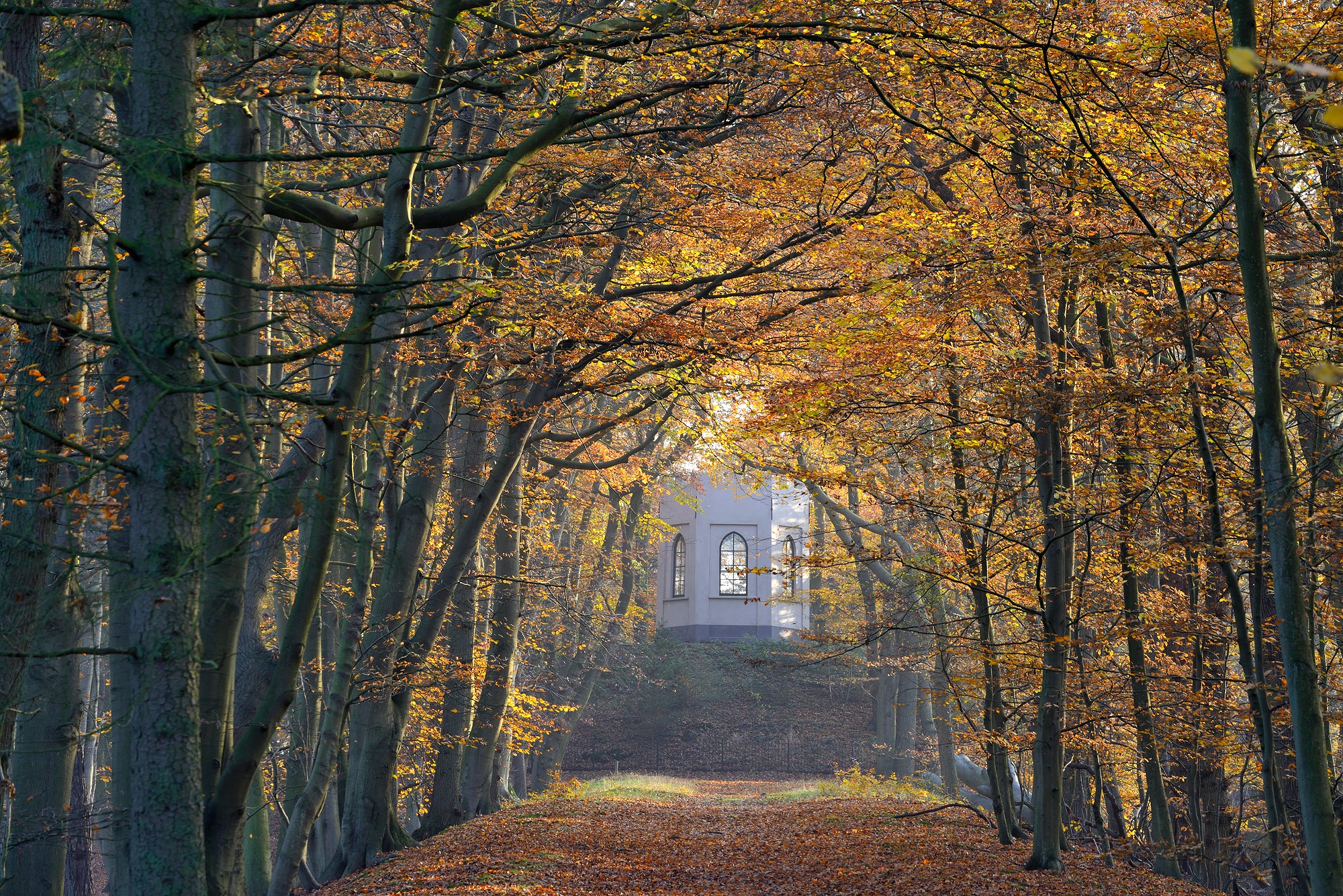 Belvedere in herfst Ronald van Wijk