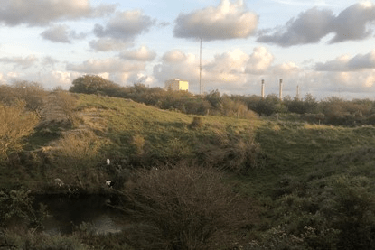 Vennetje in het Heemskerkerduin met de mosterdgeel geverfde dompelverzinklijn van de staalfabriek (foto Gert van der Laan)