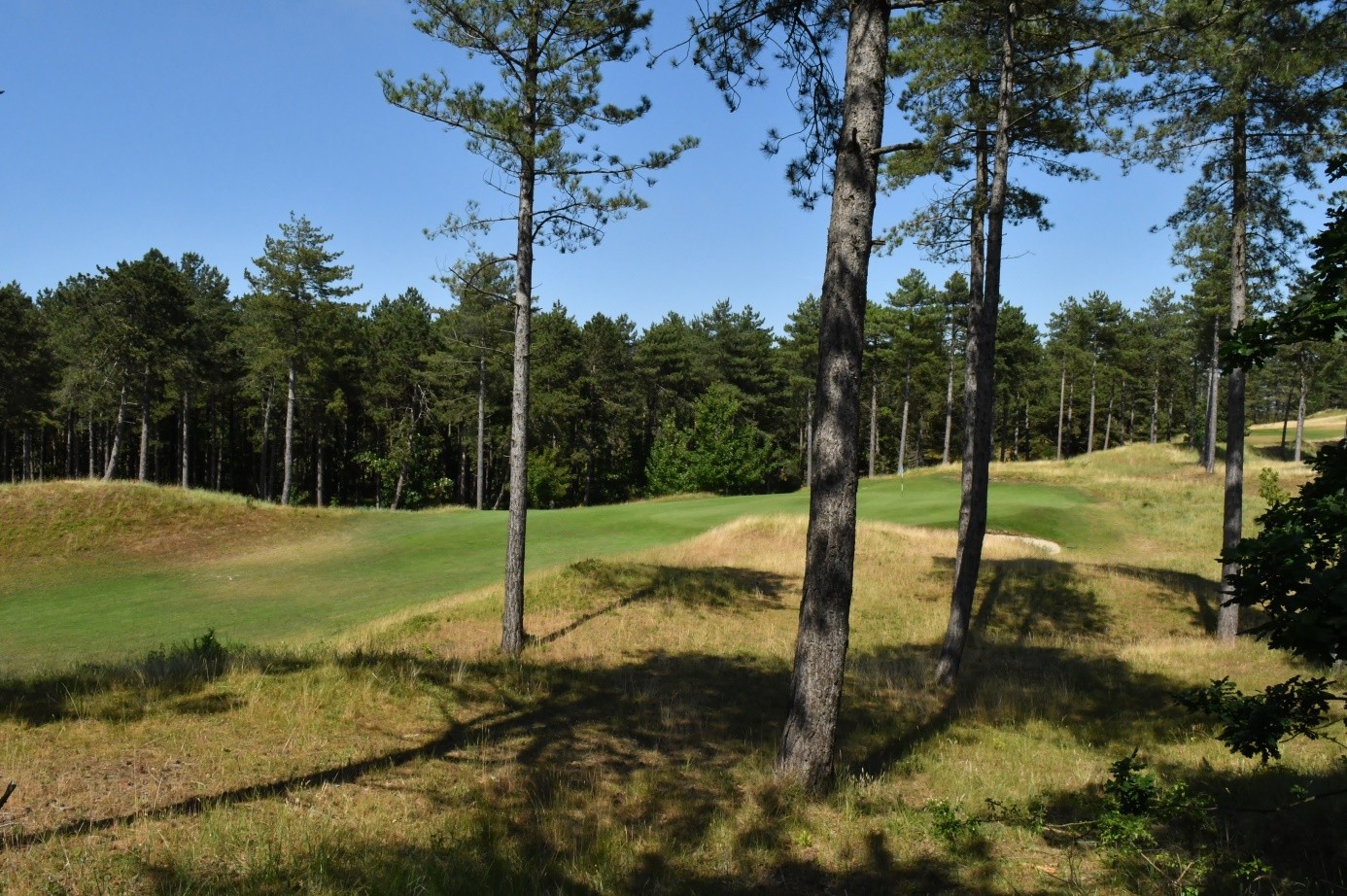 Golfbaan Noordwijk