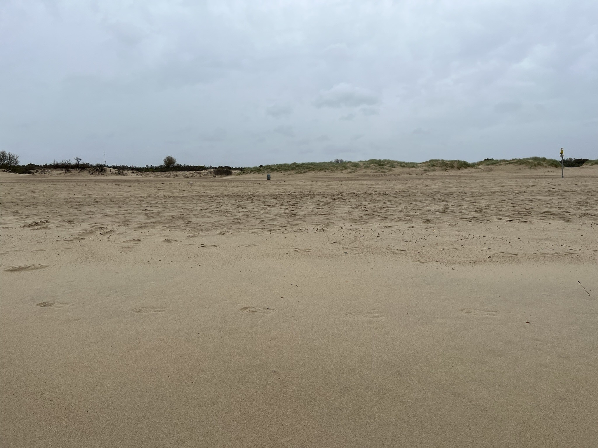 Strand bij het Zwin